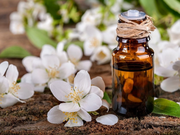 jasmine essential oil