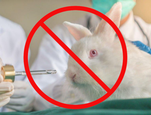 Balipura: Committed to 100% Cruelty-Free Healing