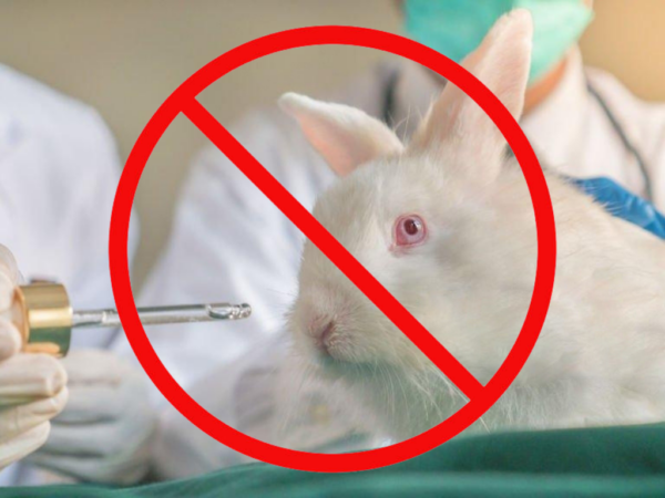 Balipura cruelty-free products